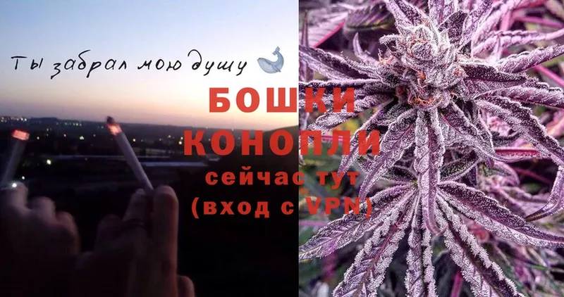 Конопля Bruce Banner  Выкса 